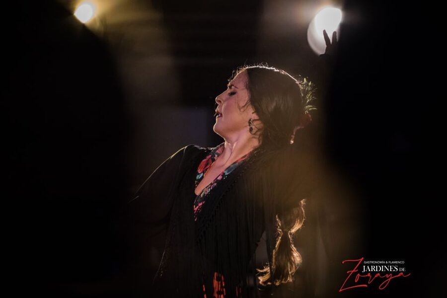 Granada: Flamenco Show in Albaycin - Jardines de Zoraya - The one-hour performance, from guitar to final applause