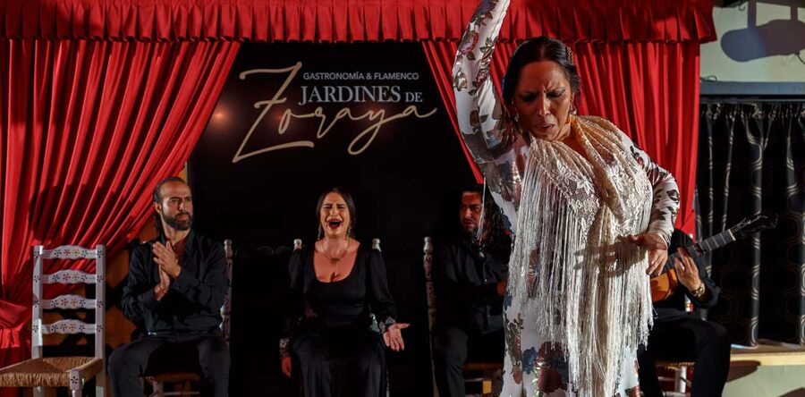 Granada: Flamenco Show in Albaycin - Jardines de Zoraya - What the price means at $28