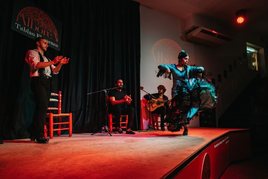 Granada: Flamenco Show in La Alboreá - Should you book La Alboreá?