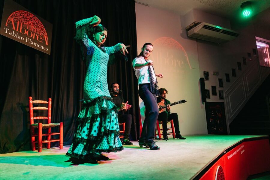 Granada: Flamenco Show in La Alboreá - What happens during the one-hour performance