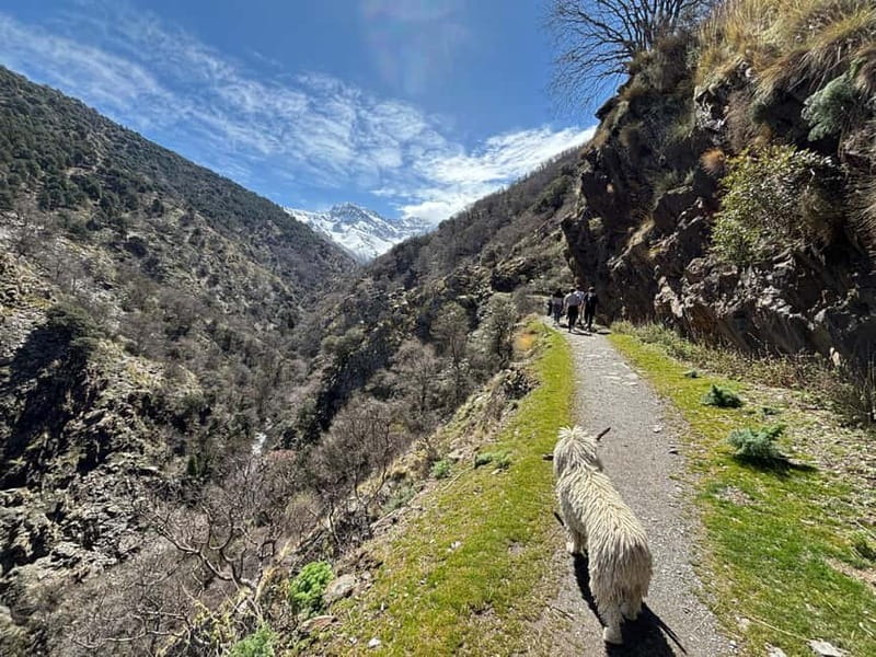 Granada: High Sierra Nevada Hiking Tour to 3000 Meters - Why this mountain trip works so well from Granada