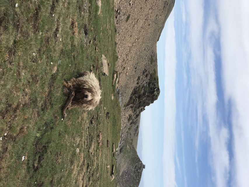 Granada: High Sierra Nevada Hiking Tour to 3000 Meters - Food, water, and what to pack
