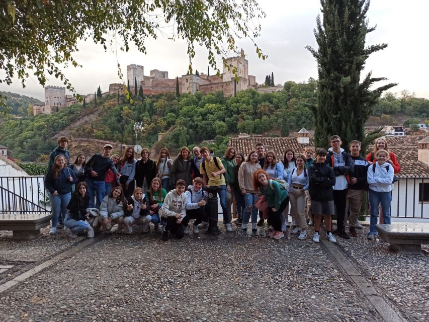 Granada: Historic Center and Lower Albaicin Walking Tour - Key Things to Know Before You Book