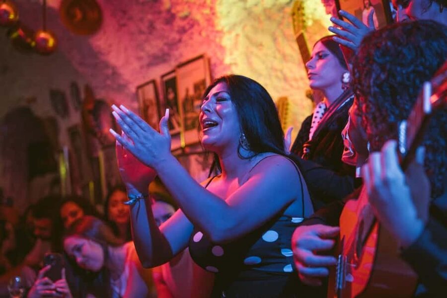 Granada: Los Amayas Cave Traditional Flamenco Show - Who will enjoy Los Amayas most?