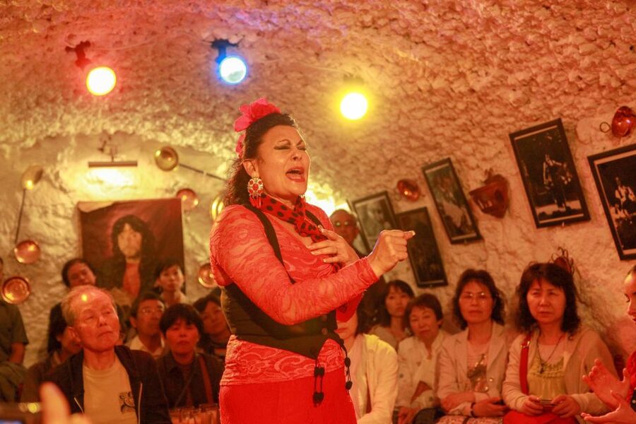 Granada: Sacromonte Caves Flamenco Show with Dinner - Is $68 a fair price?