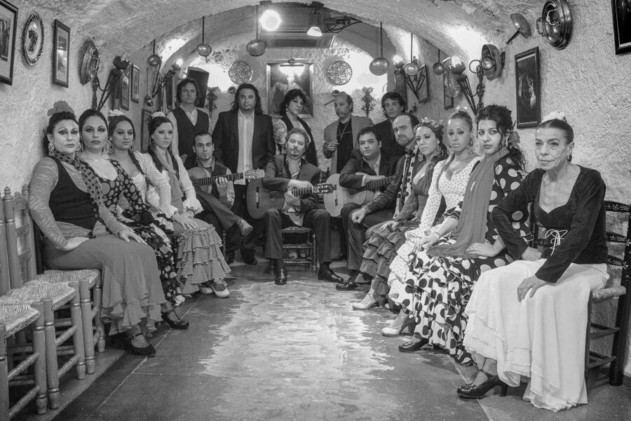 Granada: Sacromonte Caves Flamenco Show with Dinner - Who will enjoy this one-hour format?