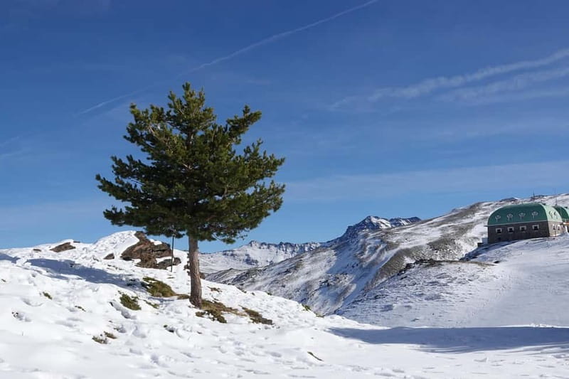 Granada: Sierra Nevada Safari Tour to 2500 m with a Drink - Climbing toward 2500 meters