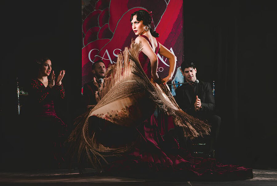 Granada: Traditional Flamenco Show at Tablao Casa Ana - Key points about the Casa Ana flamenco show