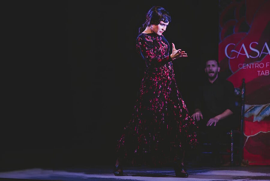 Granada: Traditional Flamenco Show at Tablao Casa Ana - Is $21 a fair price for one hour?