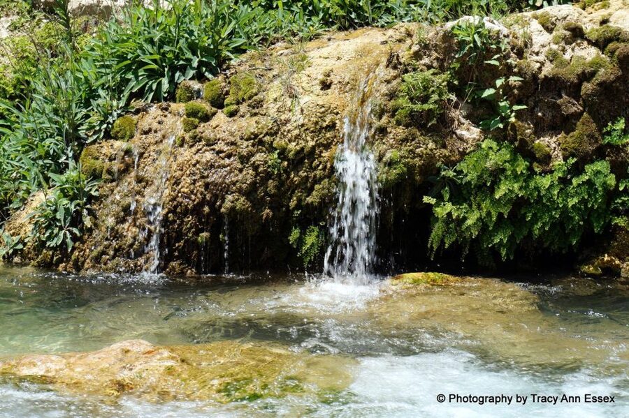 Guadalest & Algar Falls Tour - From Albir, Benidorm & Calpe - Pickup points from Calpe, Altea, Albir and Benidorm