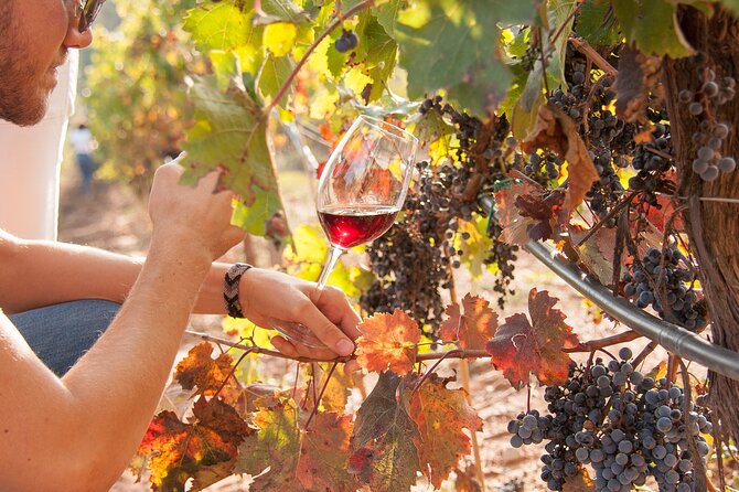 High-End Vineyard Escape: Cava, Tapas & Wine | Private Tour - Catalan lunch on the family veranda