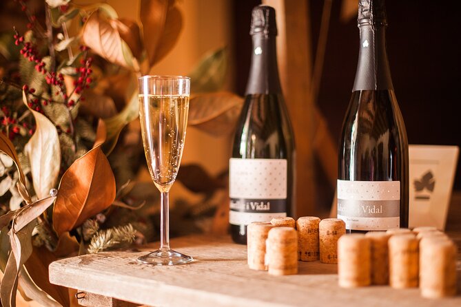 High-End Vineyard Escape: Cava, Tapas & Wine | Private Tour - Timing, clothing, and practical points