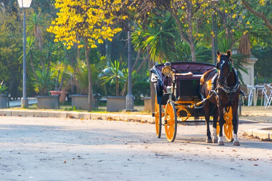 Horse-Drawn Carriage Ride Through Seville - Six things to know before you book