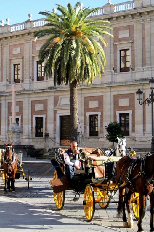 Horse-Drawn Carriage Ride Through Seville - Why a carriage is a useful way to see Seville