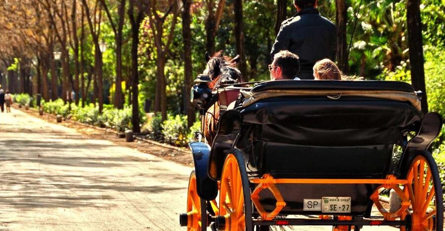 Horse-Drawn Carriage Ride Through Seville - What the horse-drawn format feels like