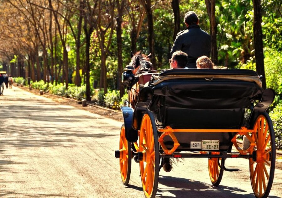 Horse-Drawn Carriage Ride Through Seville - Starting at Colors of Seville in the old quarter
