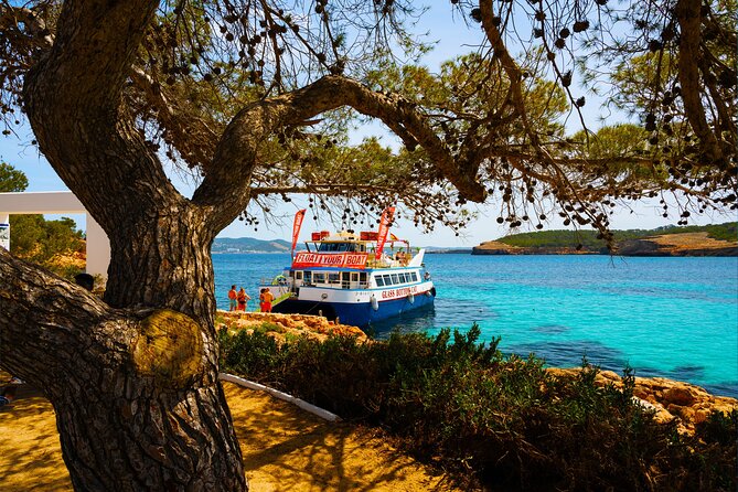 Ibiza Beach Hopping Cruise with Paddleboards, Drinks and Food 6h - Cala Comte: clear water and a popular beach stop