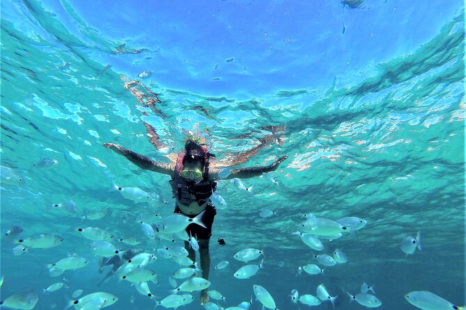 Ibiza Snorkeling Beach and Cave Tour - Five things to know before you book