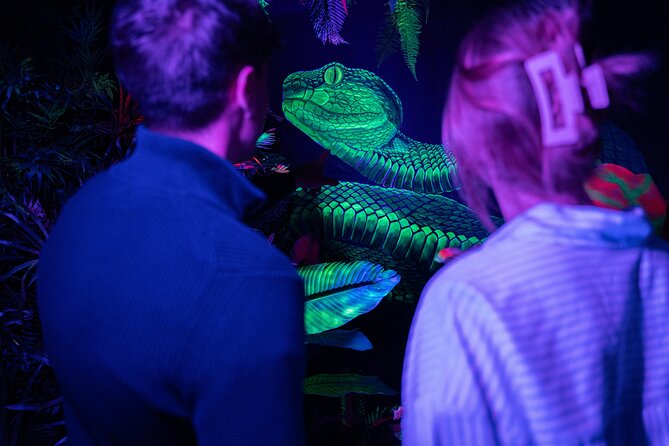 IKONO: a Unique Sensory and Photographic Experience - What Can Make the Visit Disappointing