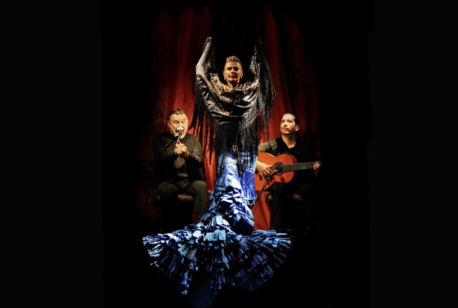 Intimate Authentic Flamenco Show in Barcelona at Casa Sors - The one-hour flamenco performance