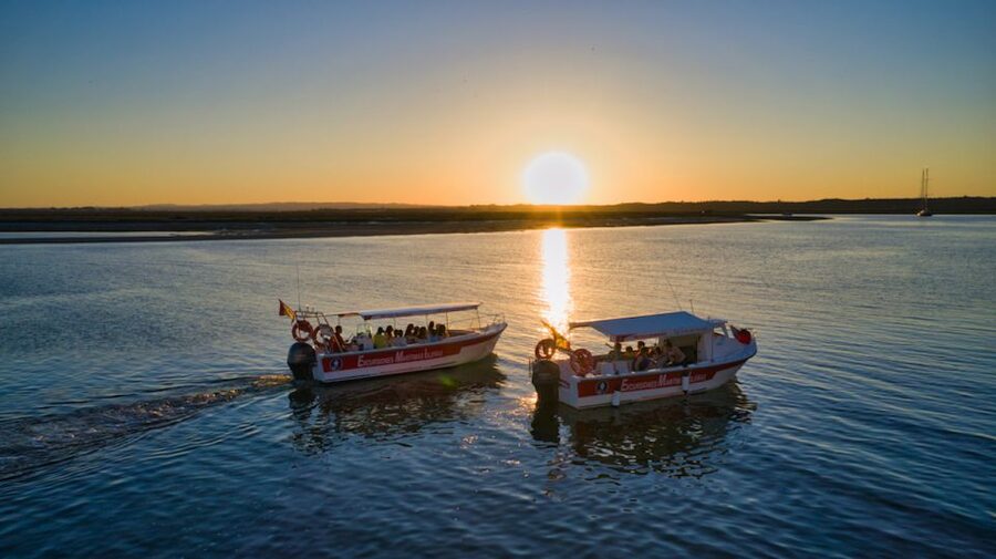 Isla Cristina/Isla Canela: Boat Trip Through the Marshes - What the boat experience is like