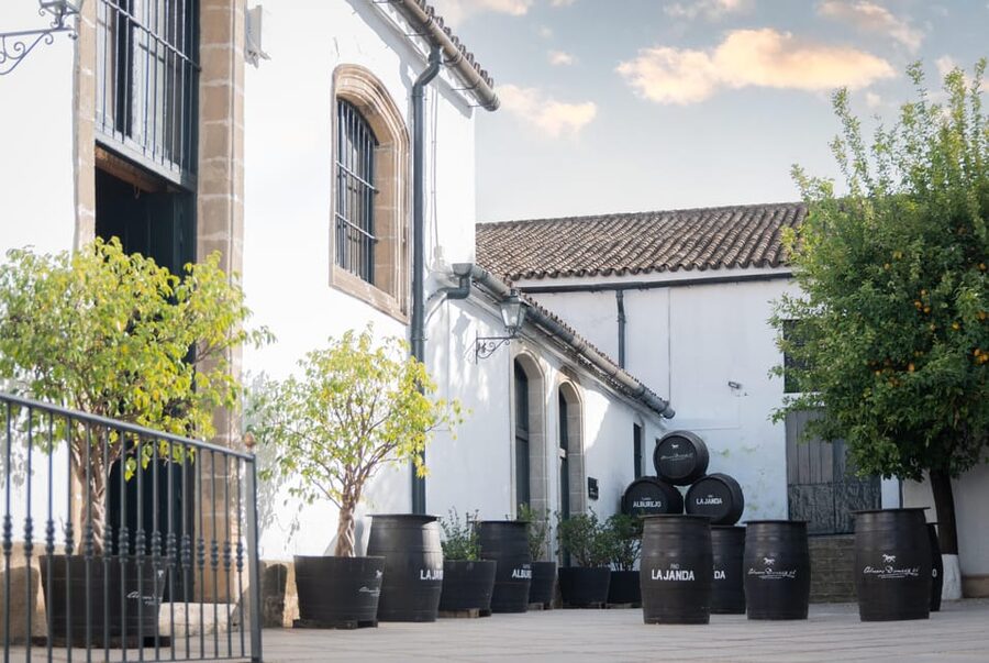 Jerez: Bodegas Álvaro Domecq Guided Tour with Wine Tasting - Starting Near Calle San Luis