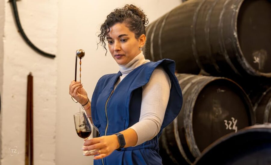 Jerez: Bodegas Álvaro Domecq Guided Tour with Wine Tasting - The Oloroso Cellar and Audiovisual Presentation