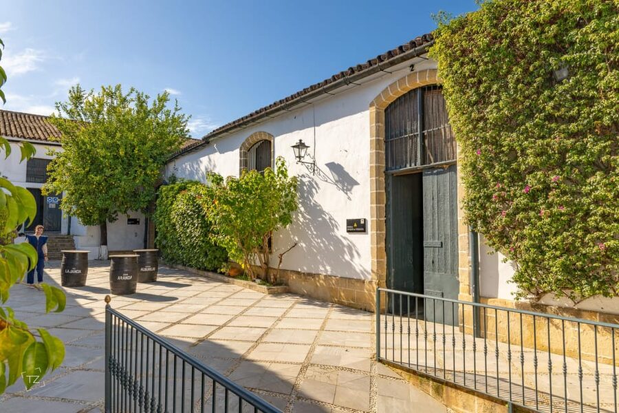 Jerez: Bodegas Álvaro Domecq Guided Tour with Wine Tasting - Guides, Language, and Group Size
