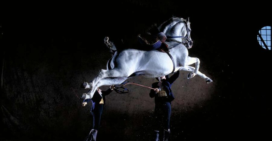 Jerez de la Frontera: Andalusian Horse Dance and Museums - Key things to know before you go
