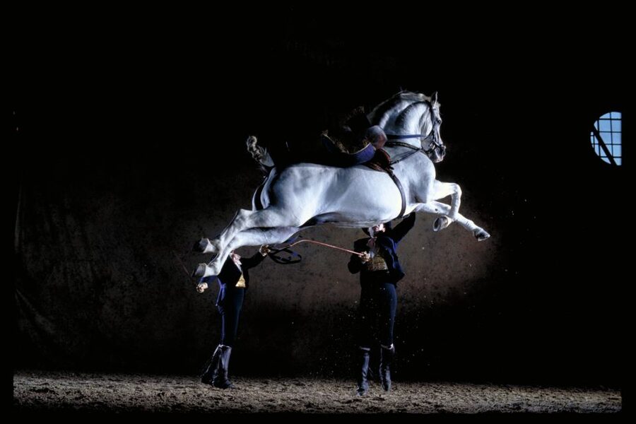 Jerez de la Frontera: Andalusian Horse Dance and Museums - The audiovisual introduction before 11:00 AM