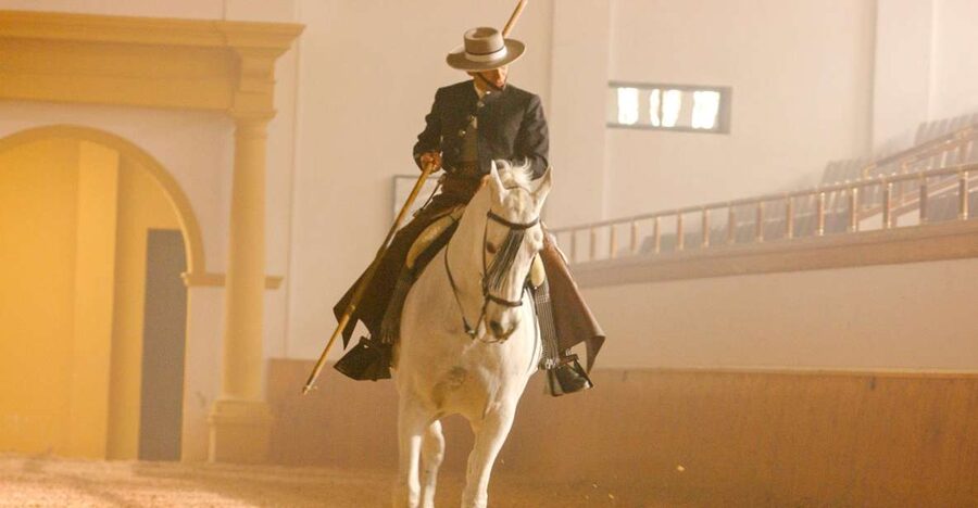Jerez de la Frontera: How the Andalusian Horses Dance - Key points to know before booking