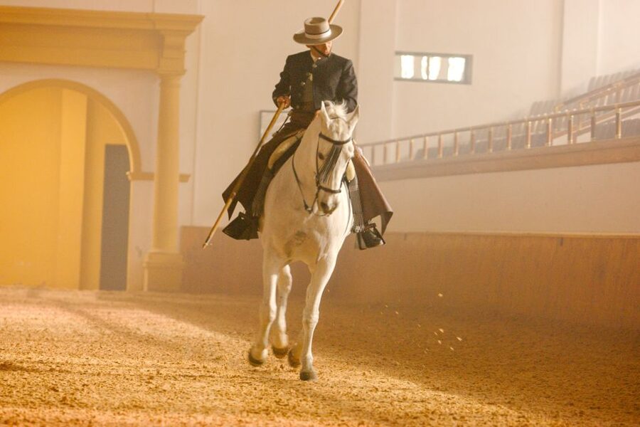 Jerez de la Frontera: How the Andalusian Horses Dance - Doma Vaquera brings the ranch into the arena