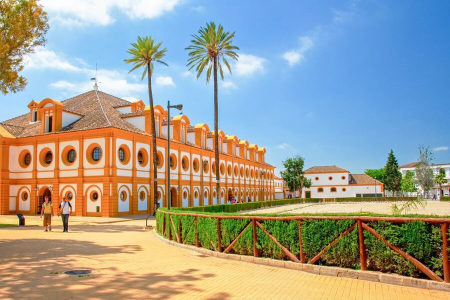 Jerez de la Frontera: How the Andalusian Horses Dance - Work in hand shows control without a saddle