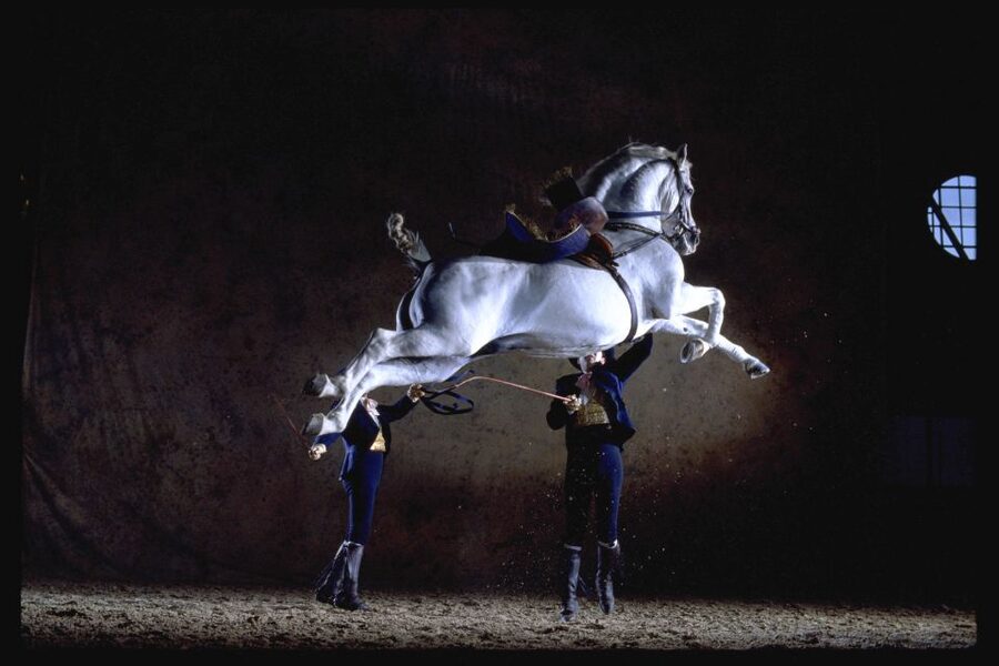 Jerez de la Frontera: How the Andalusian Horses Dance - The carrousel brings the riders together
