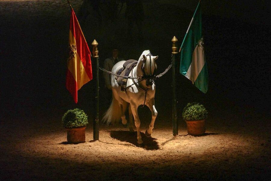 Jerez de la Frontera: How the Andalusian Horses Dance - The atmosphere, costumes, and audience appeal