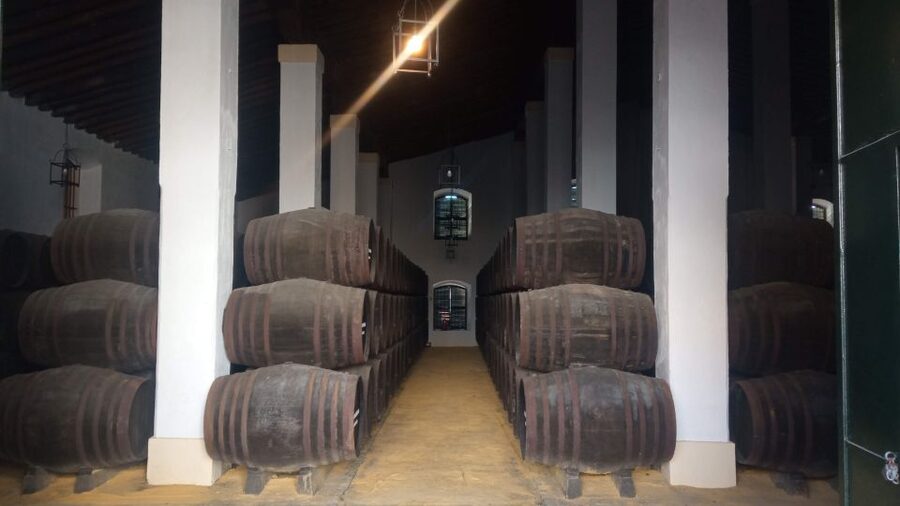 Jerez de la Frontera: Sherry Winery Tour with Tasting - Exhibits explain how sherry is made
