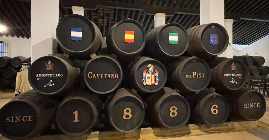 Jerez de la Frontera: Sherry Winery Tour with Tasting - The short film puts Jerez in context
