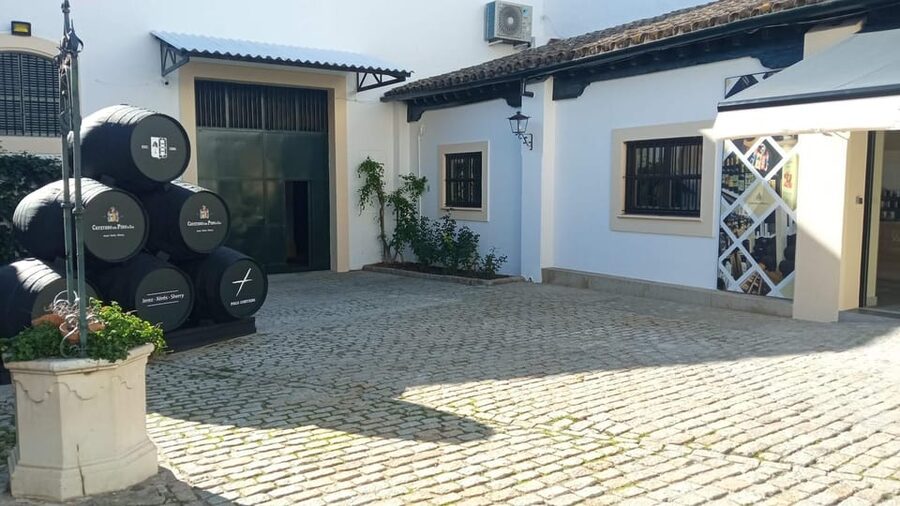 Jerez: Guided Winery Tour with Wine Tasting - Two wines and appetizers at the end