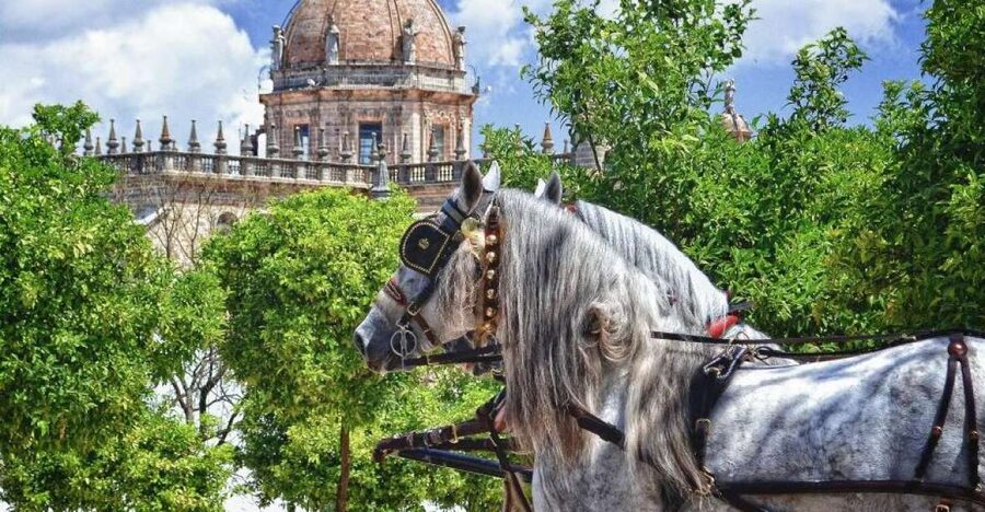 Jerez: Historic Center Guided Tour - Key things to know before you book