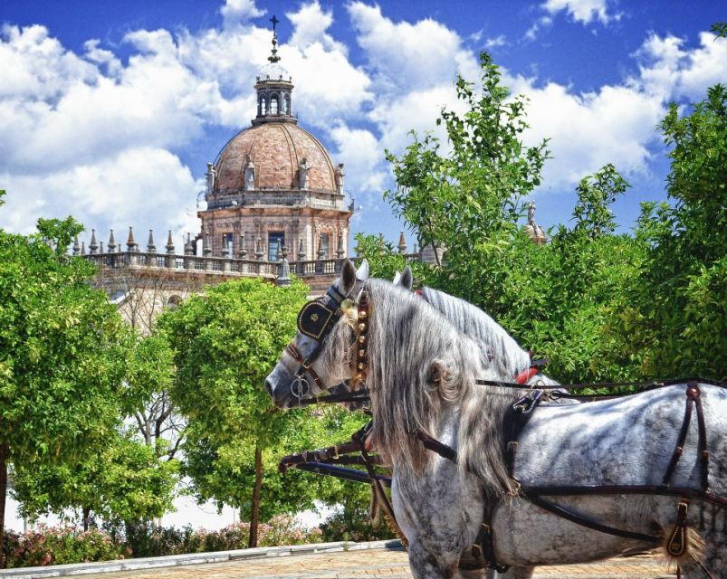 Jerez: Historic Center Guided Tour - Around the Alcázar’s Muslim and Christian past