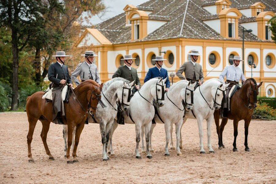 Jerez: Royal Andalusian School of Equestrian Art Admission - Why Jerez’s horse school is worth your time