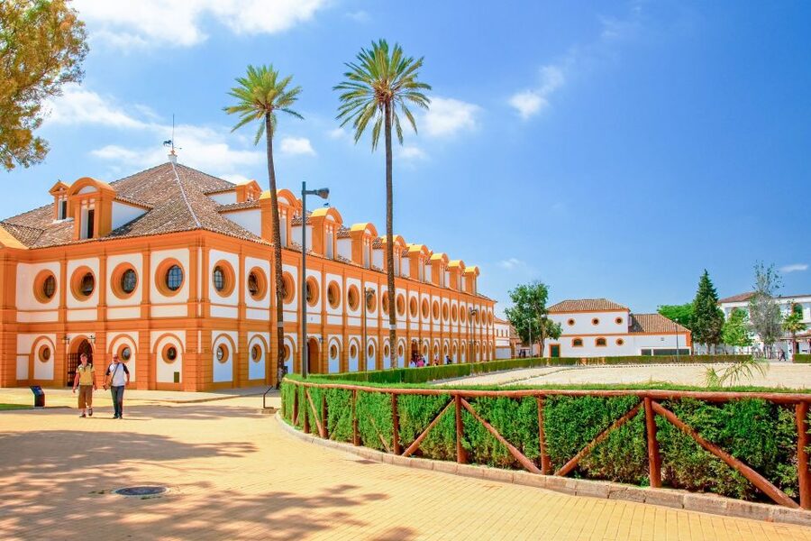 Jerez: Royal Andalusian School of Equestrian Art Admission - Timing, language, access, and practical details