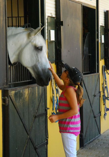 Jerez: Yeguada de la Cartuja Carthusian Horses Tour - Practical tips for a smoother visit
