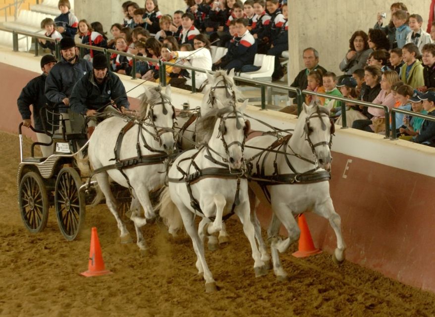 Jerez: Yeguada de la Cartuja Carthusian Horses Tour - The arena show and Spanish dressage
