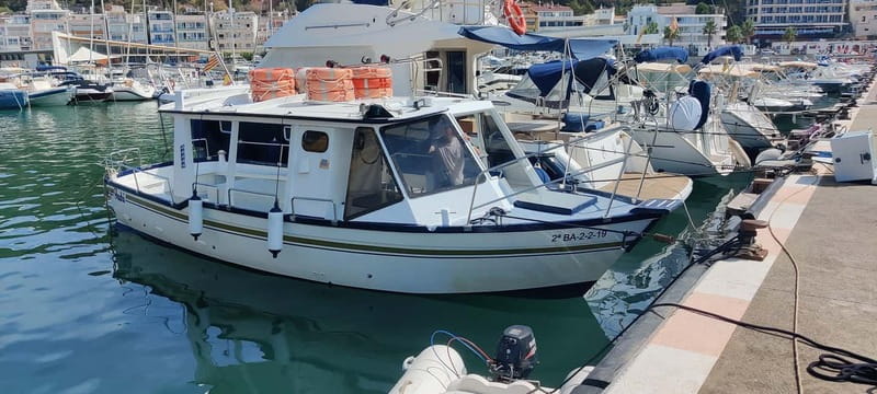 L'Estartit: Costa Brava Boat Trip to Les Illes Medes - Cala Pedrosa: A Short Stop for Swimming and Snorkeling