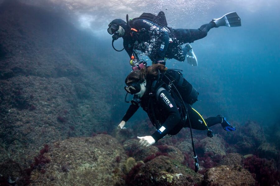 L'Estartit: Dive and Snorkeling in Montgrí Natural Park - Check-in at Medaqua and the short walk