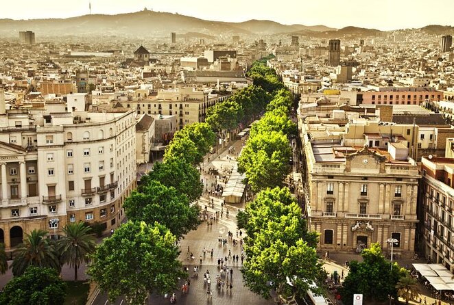 La Boqueria Market and Paella Cooking Class in Barcelona - Key points to know before booking