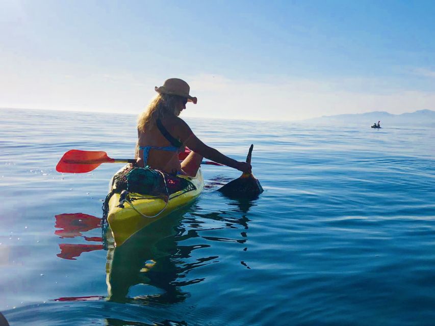 La Herradura: Cerro Gordo Natural Park Kayak & Snorkel Tour - Who should book this kayak and snorkel trip?
