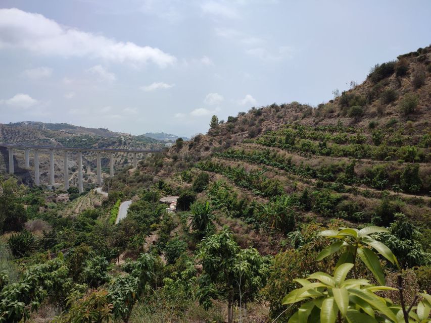 La Herradura Coffee Farm: tour in Europe's only plantation - The farm’s organic and regenerative approach