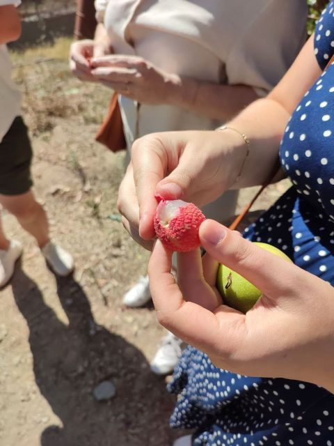La Herradura Coffee Farm: tour in Europe's only plantation - FAQ